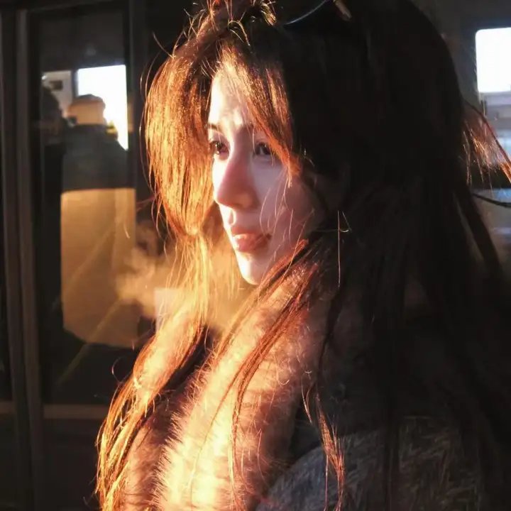 双面艾莉丝